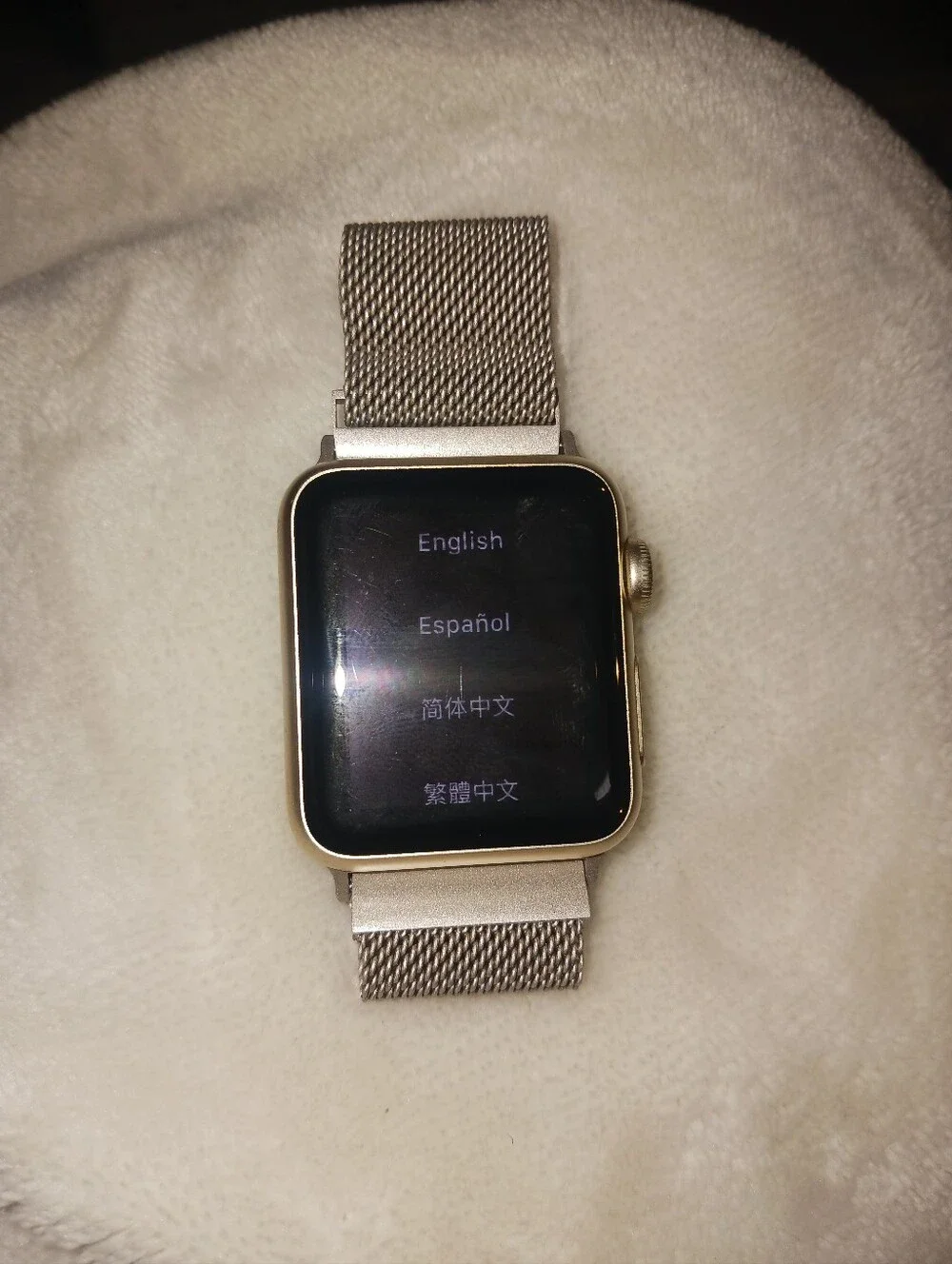 Apple series smartwatch
